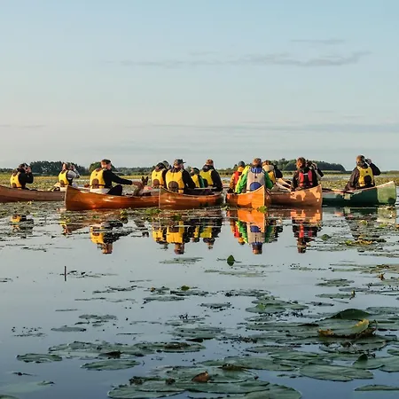 Classic Yacht I Royal Cruiser 34 - 