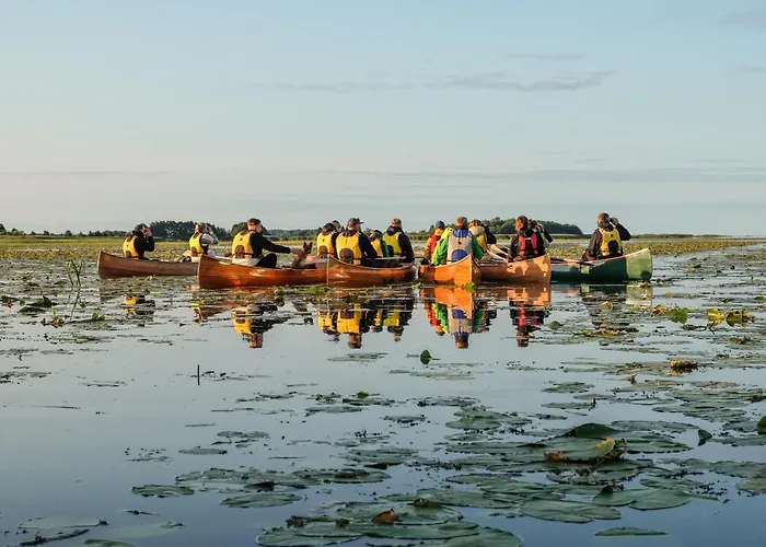 Classic Yacht I Royal Cruiser 34 - 